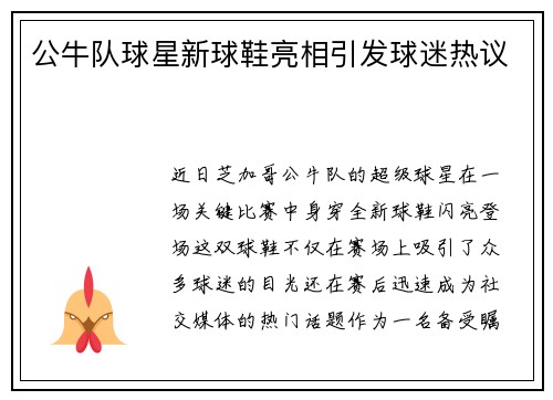 公牛队球星新球鞋亮相引发球迷热议